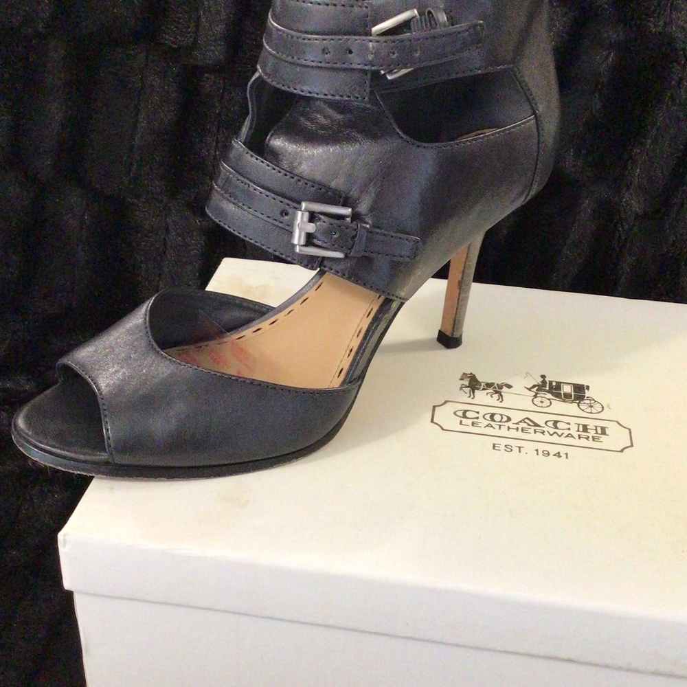 Coach 9.5 color slate